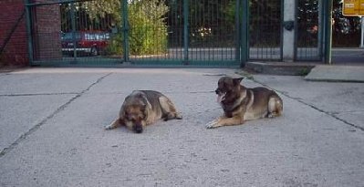 1Anke&Cesko.JPG