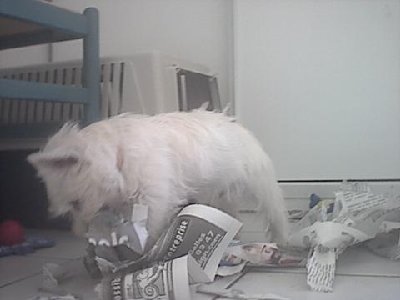 2003_09_23_1.jpg